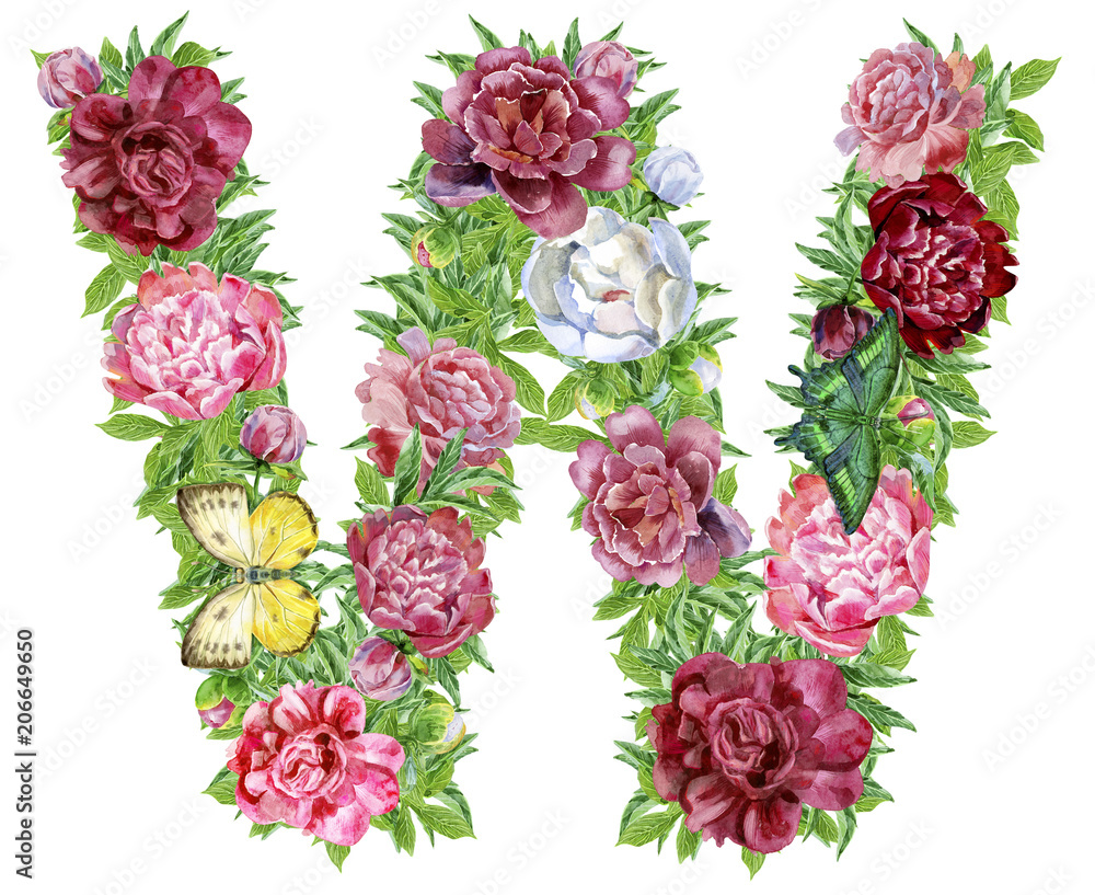 Letter W of watercolor flowers Letter W of watercolor flowers