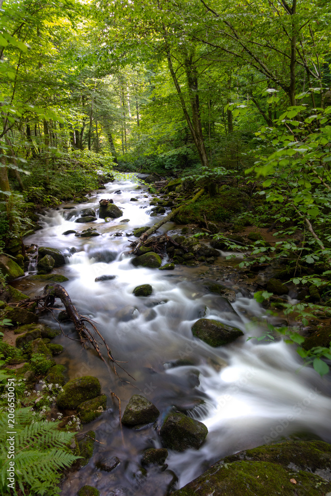 Mountain river - stream flowing through thick green forest, Bistriski Vintgar, Slovenia Mountain river - stream flowing through thick green forest, Bistriski Vintgar, Slovenia
