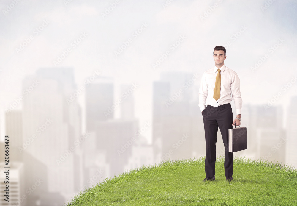 A cheerful caucasian elegant sales manager standing in small green grass in front of faded city landscape, tall buildings concept. A cheerful caucasian elegant sales manager standing in small green grass in front of faded city landscape, tall buildings concept.