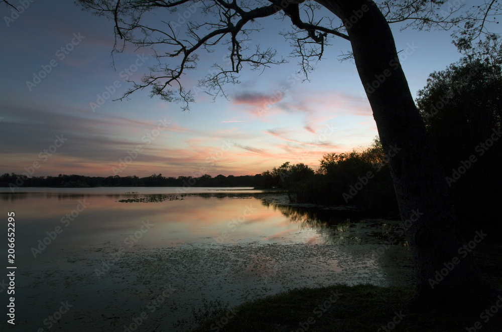 Inside Secret Lake park at sunset in Casselberry Florida Inside Secret Lake park at sunset in Casselberry Florida