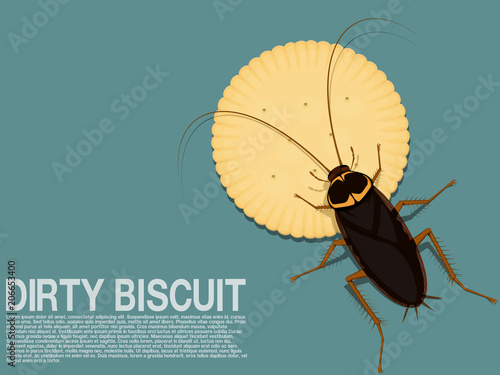 A cockroach is occupying a piece of biscuit