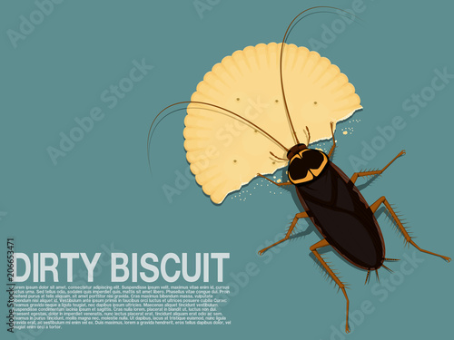 A cockroach is eating a piece of biscuit
