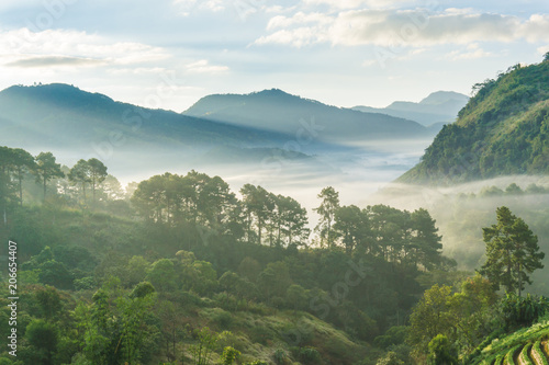 Mountain layer sunrise with fog cloud morning sky