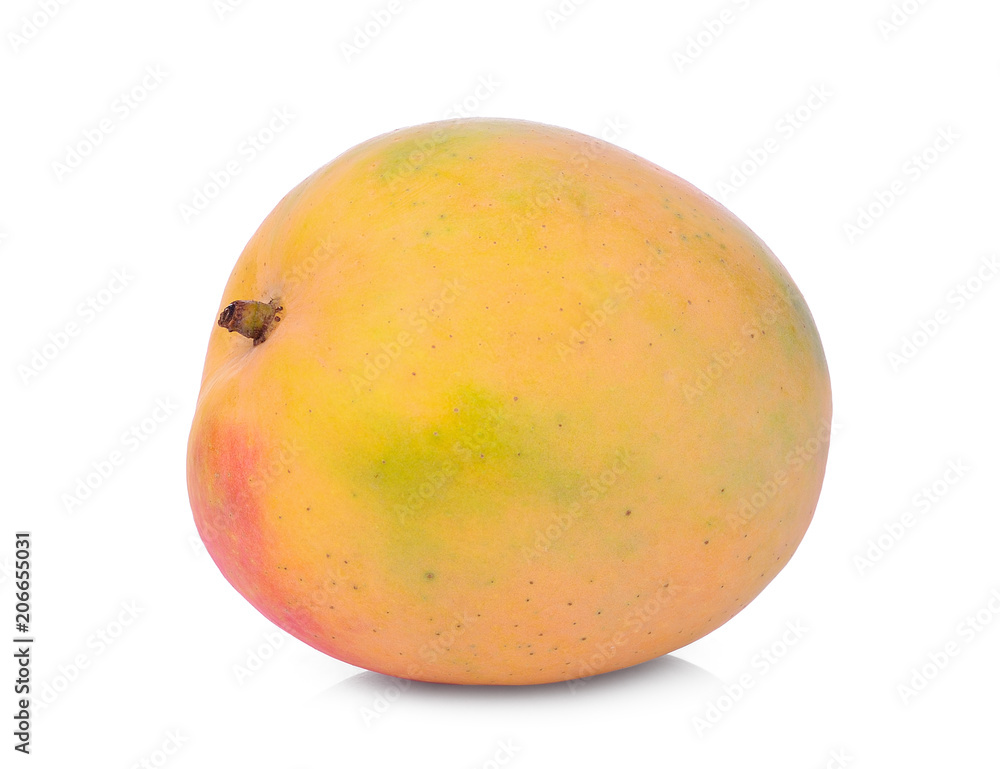 single ripe mango isolated on white background single ripe mango isolated on white background