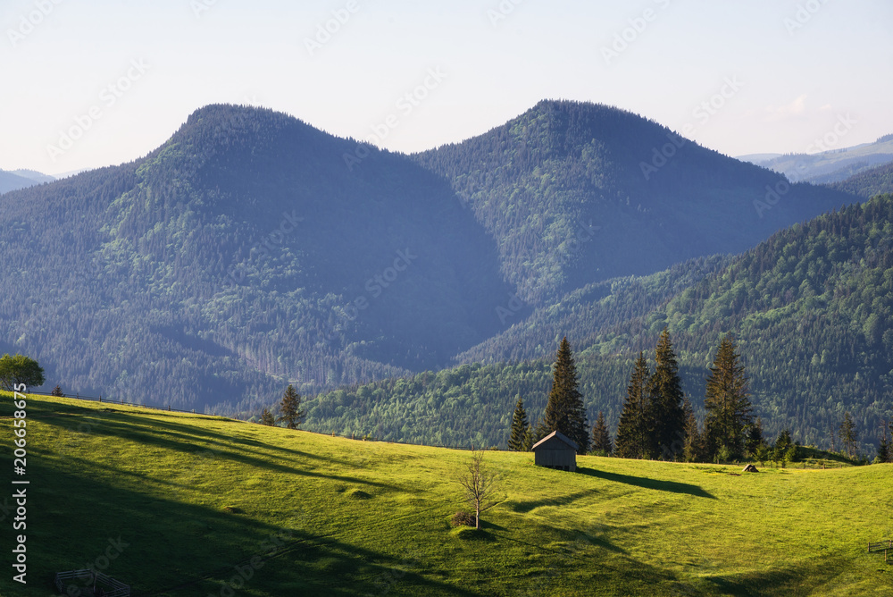 Mountains at the morning time. Beautiful natural landscape at the summer time