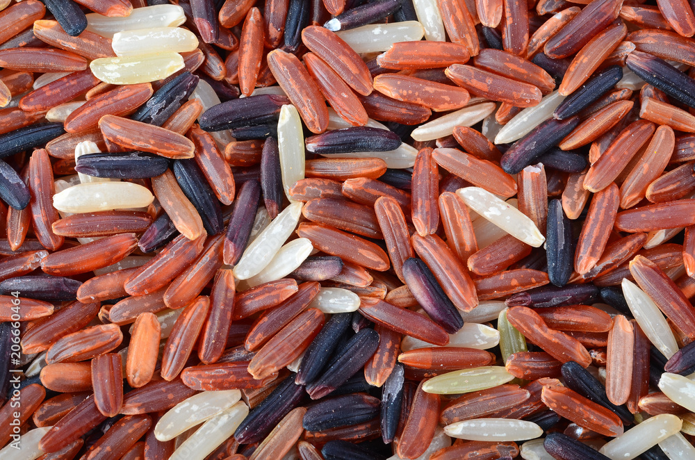 close-up riceberry top view