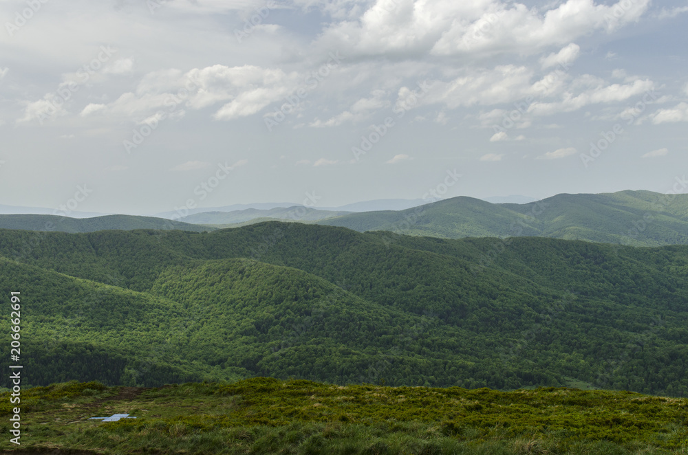 Fototapeta premium Bieszczady 