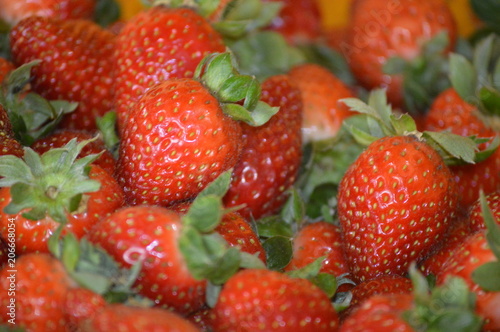 Strawberry In Cameron Highland Malaysia