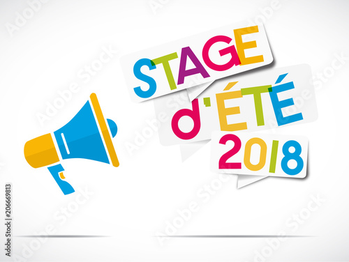 mégaphone : stage d'été 2018