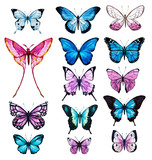Watercolor butterfly set