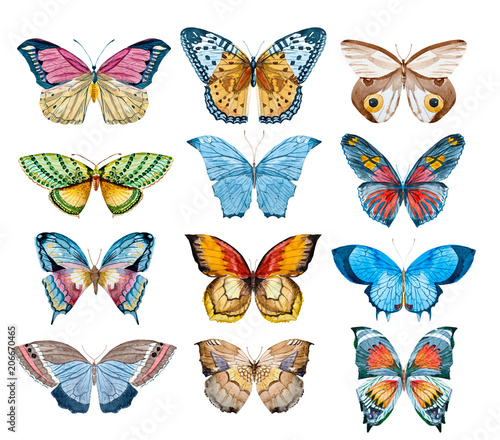 Watercolor butterfly set © zenina