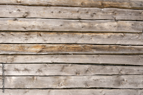 Texture tree. Wide wooden boards. The wall of the barn. background