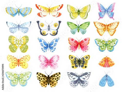 Fototapeta Naklejka Na Ścianę i Meble -  Watercolor butterfly set