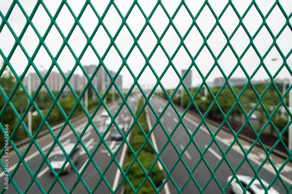 Fototapeta premium Outside the cage