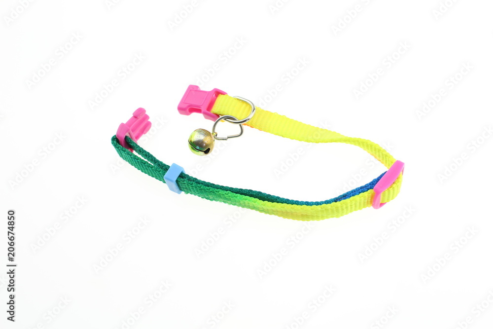 Dog collar with colorful isolated Dog collar with colorful isolated