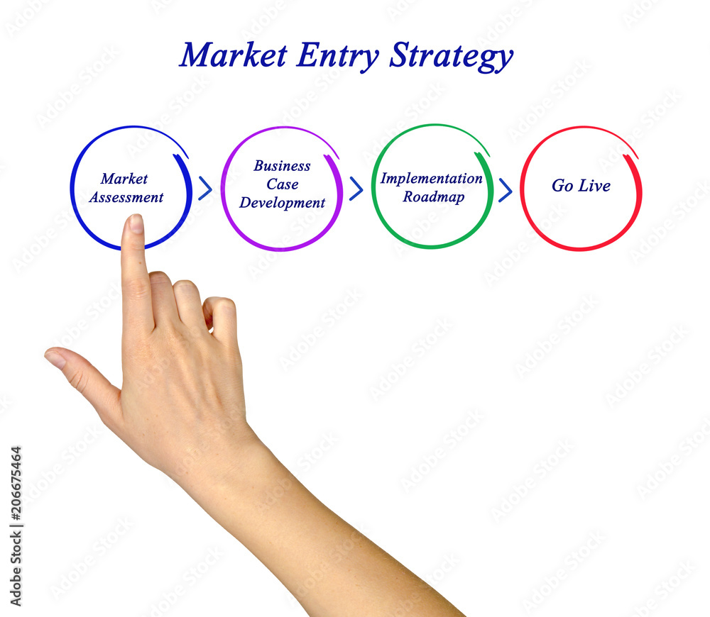 Market Entry Strategy