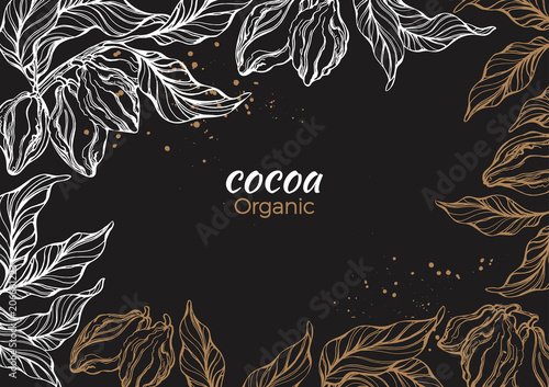 Vector graphic frame of cocoa tree, branch