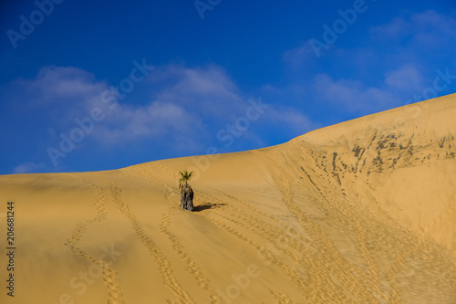 Dune 7 landscape