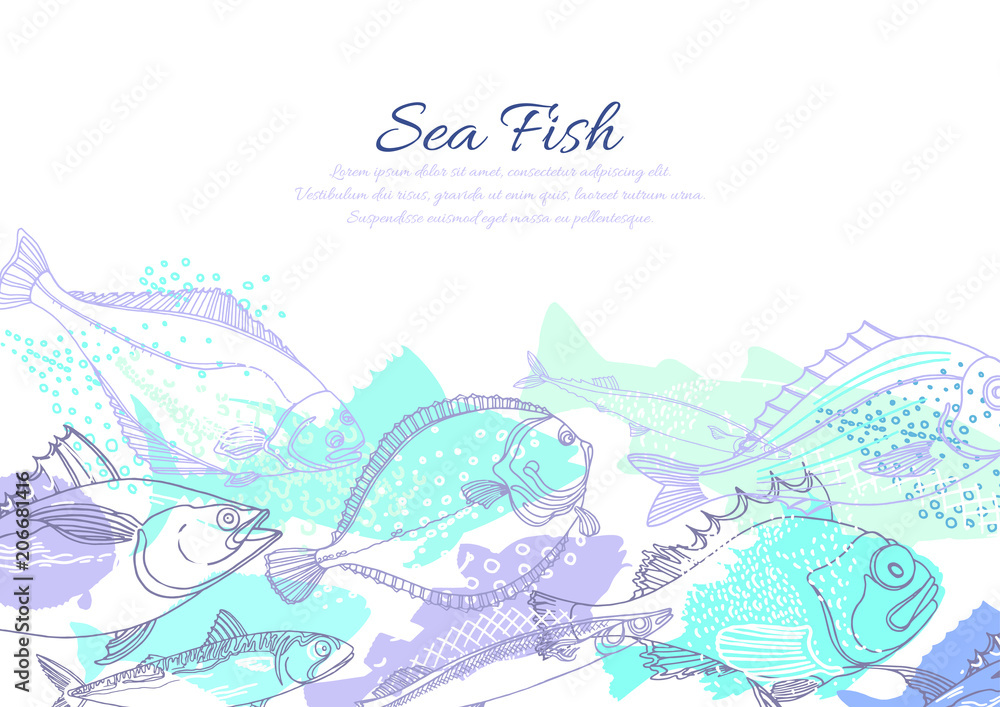 Vector template of nature seafish. Vector template of nature seafish.