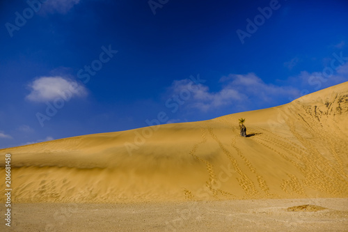 Namibia landscape Dune 7