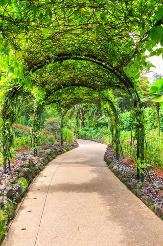 Orchid Garden at Singapore Botanic Gardens