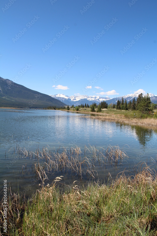 Shoreline Of Talbot Lake, Jasper National Park, Alberta