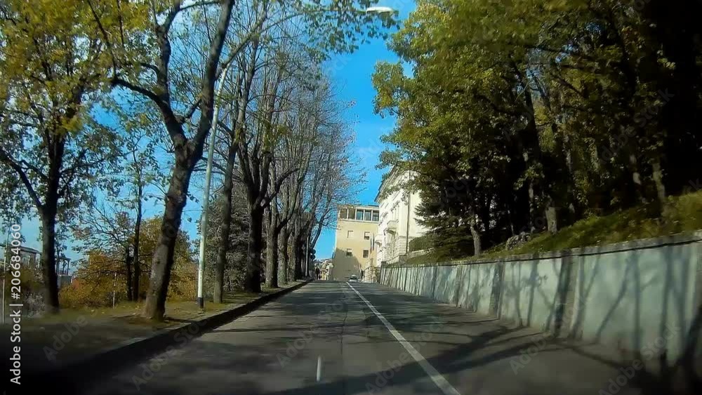 17792_Trees_on_the_side_of_the_small_road_in_the_city.mov 17792_Trees_on_the_side_of_the_small_road_in_the_city.mov