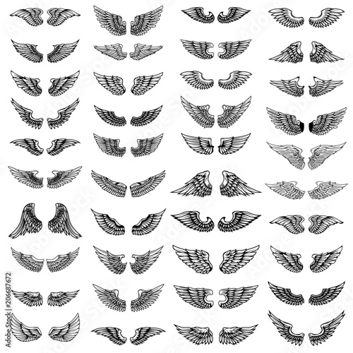 Big set of wings on white background. Design elements for logo, label, emblem, sign.