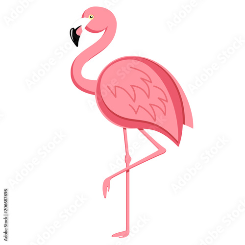 Flamingo stehend - flamingo vector illustration