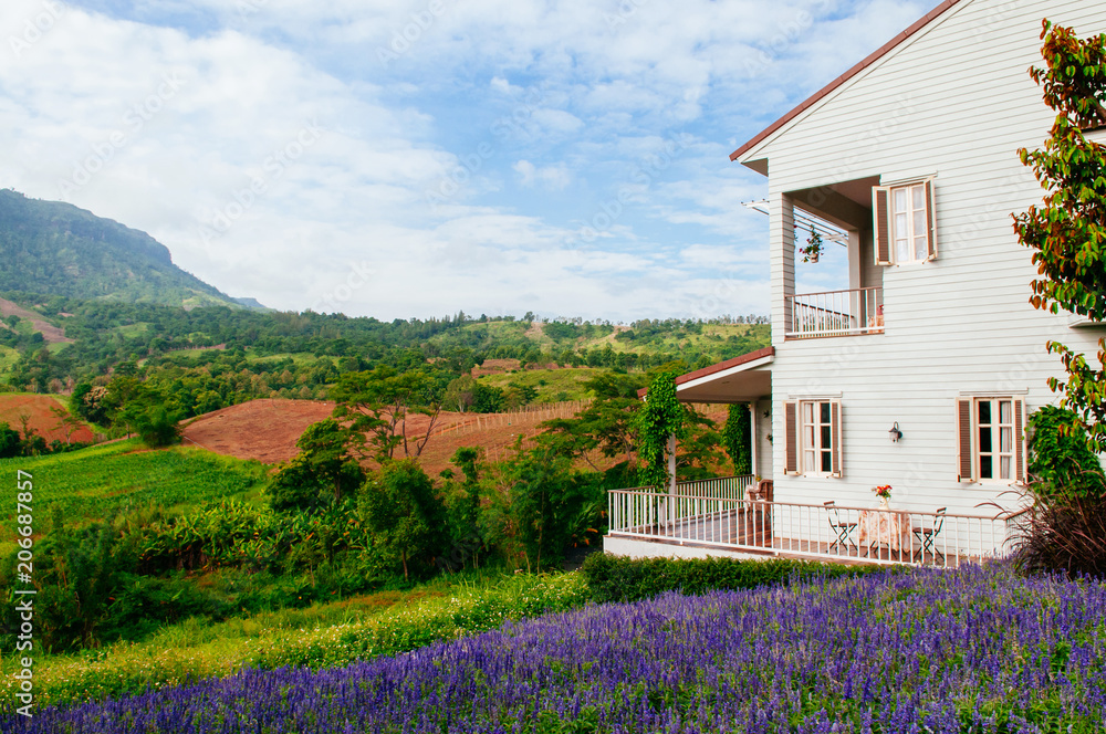 Obraz Vintage English country house balcony with natural light mountain and flowers field