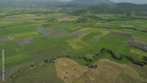 Mountain valley with farmland, rice terraces near mount Iriga. Aerial view mount with green tropical rainforest, trees, jungle with sky. Philippines, Luzon. Tropical landscape photo