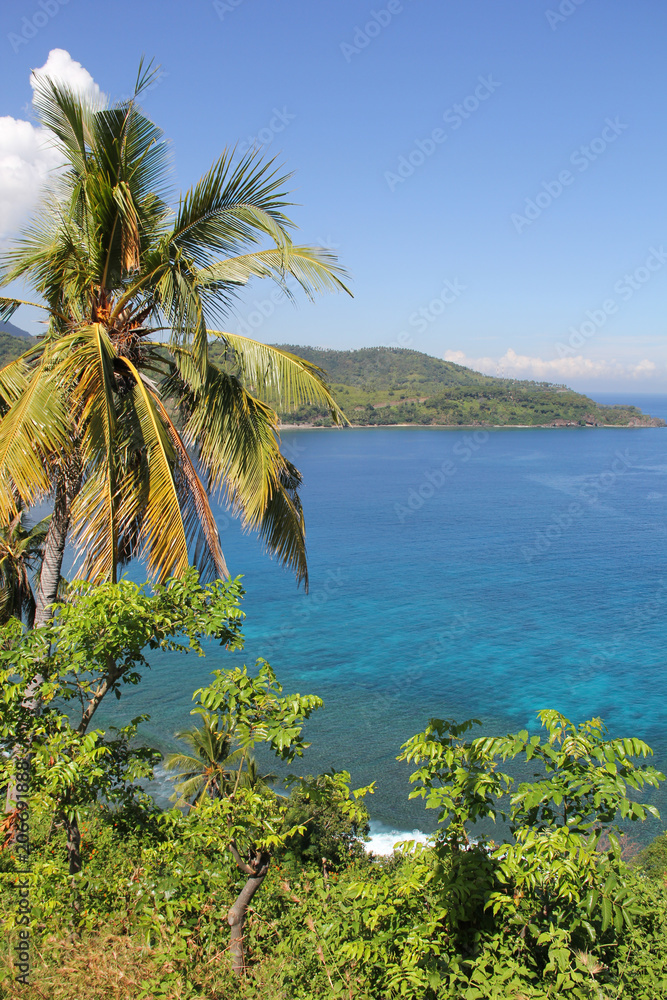 View of tropical plantations along the Lombok Strait of Indonesia