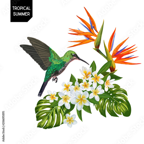 Summer Tropical Design with Hummingbird and Exotic Flowers. Floral Background with Tropic Bird, Plumeria and Palm Leaves. Vector illustration