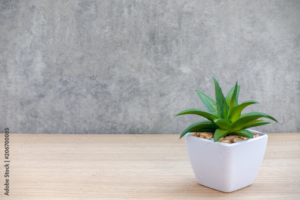 Fototapeta premium Tree pot on a wooden table and to put the text.
