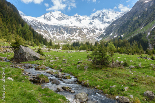 alpine Landschaft mit Wildbach und Gletscher im Hintergrund