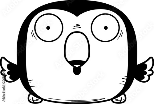 Surprised Little Toucan