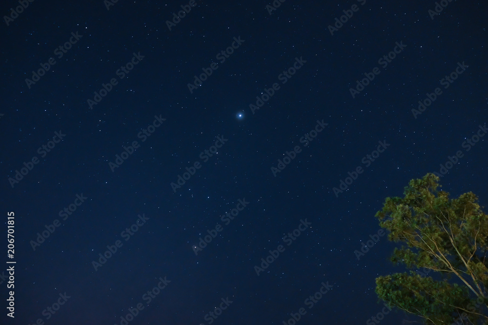 Fototapeta premium Star against a star field background with blue tones.