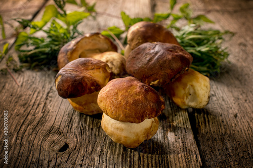 edible mushroom on wood background