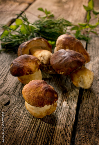 edible mushroom on wood background