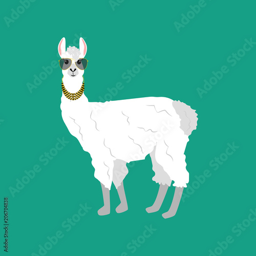 Llama alpaka illustration