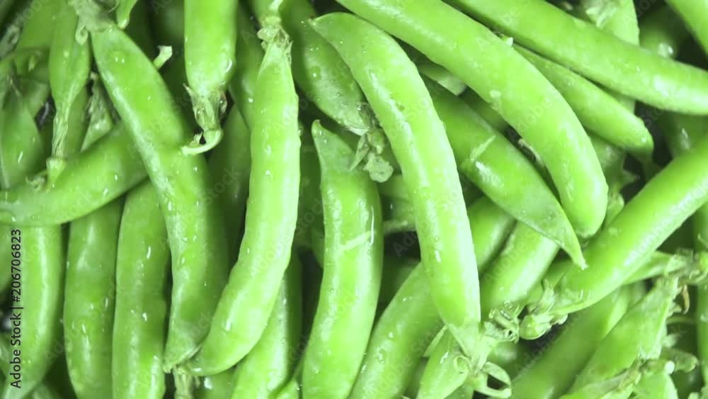 Wet pods of green peas rotate on a plate top view slow motion Wet pods of green peas rotate on a plate top view slow motion
