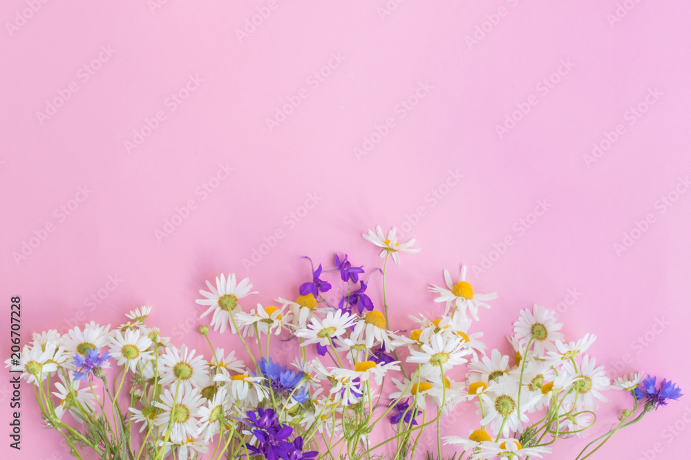 Bouquet of summer flowers on a pink background