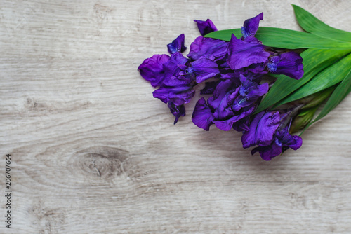 Still-life of flowers of a purple iris flower on a wooden background. Spring awakening. photo