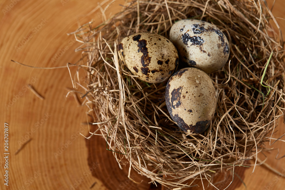 Conceptual still-life with quail eggs in hay nest on a log, close up, selective focus Conceptual still-life with quail eggs in hay nest on a log, close up, selective focus