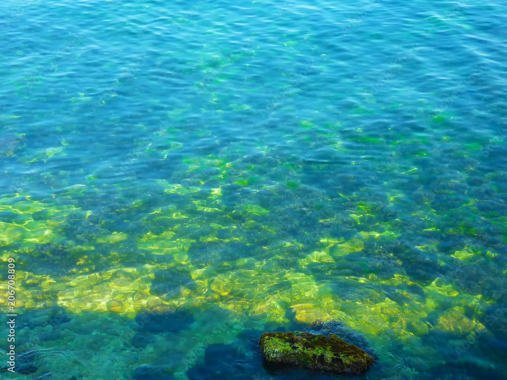 transparent stony sea coast with rocks and seaweed transparent stony sea coast with rocks and seaweed