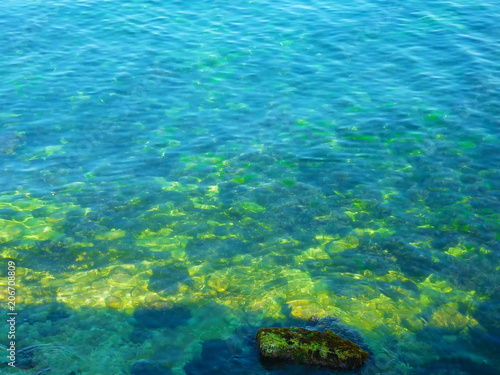 transparent stony sea coast with rocks and seaweed