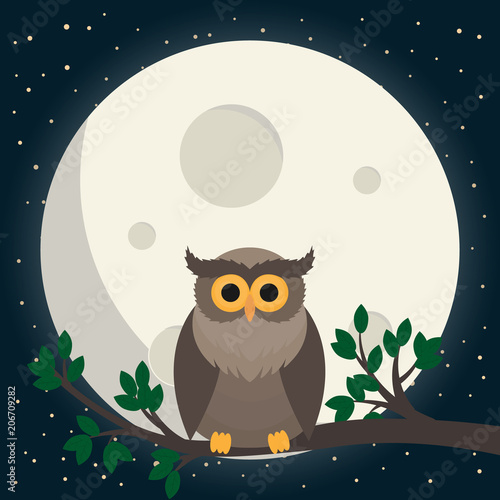 cute owl sit at branch under the moon