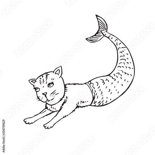 Mermaid cat, hand drawn outline doodle sketch, black and white vector illustration