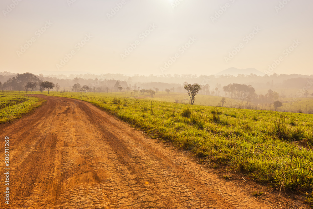 Fototapeta premium Savanna in National Park of Thailand named Thung Salaeng Luang