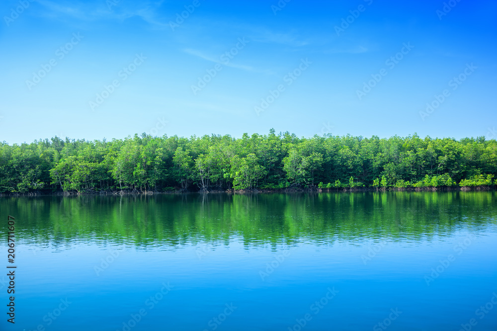 Fototapeta premium River in Thailand